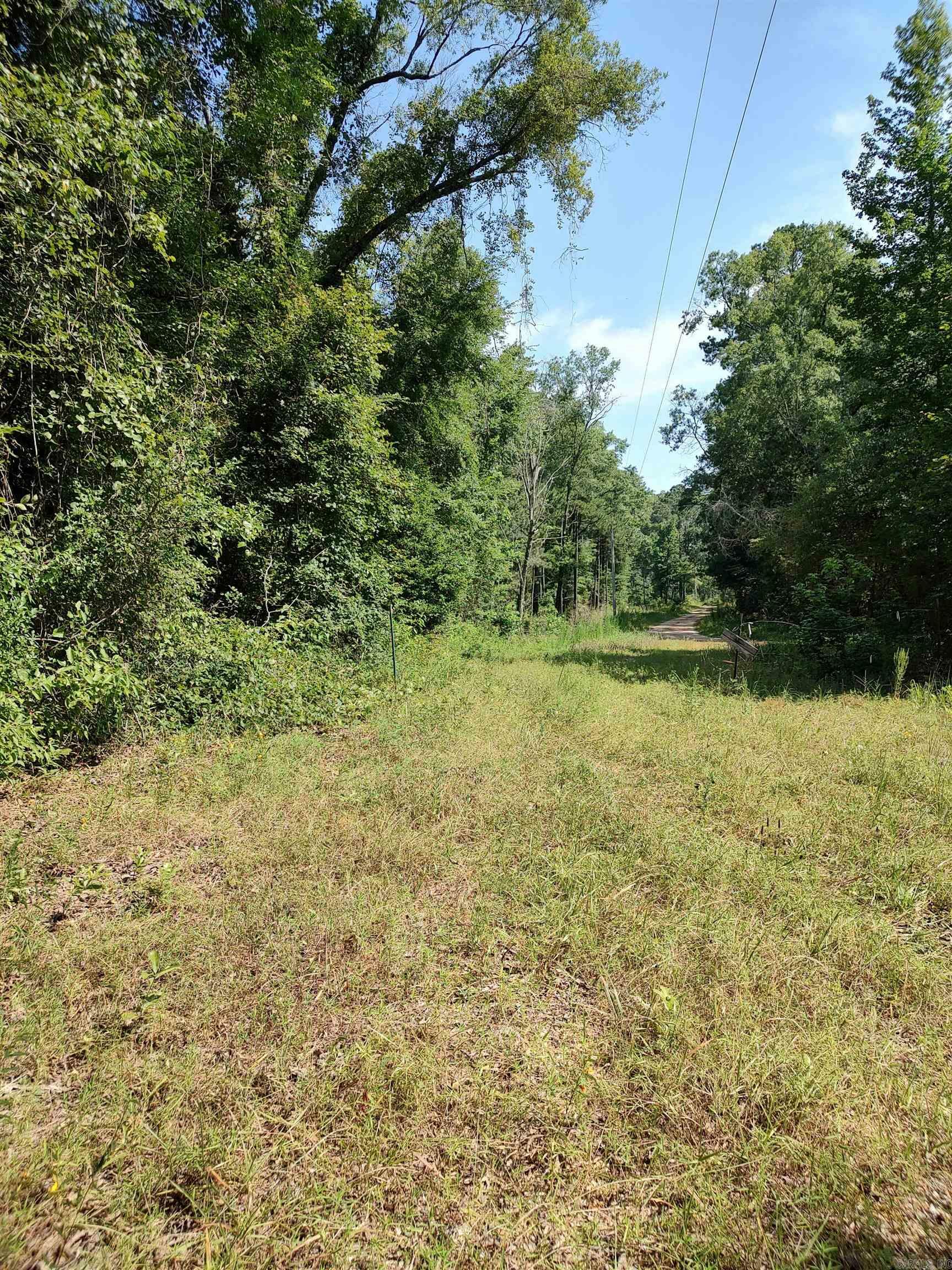 Property Photo: 80 Acres Calhoun 199 Road AR 71744