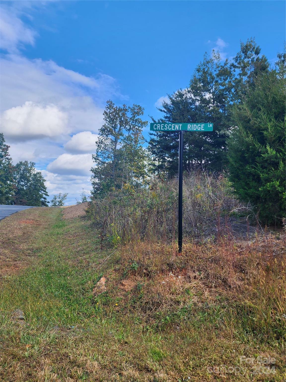 Property Photo:  Lot #373 Mountain Vista Drive  NC 28761 