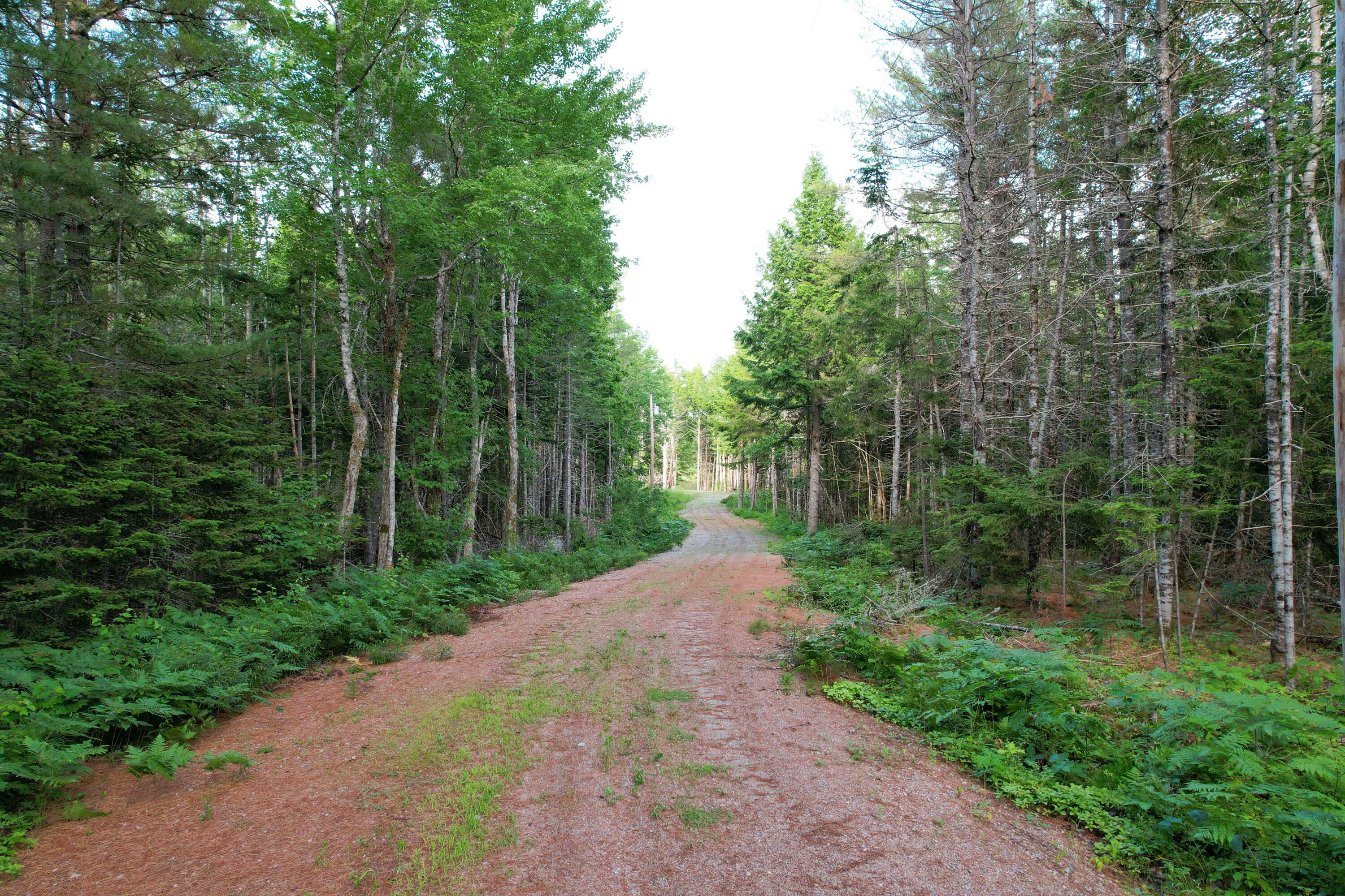 Property Photo:  Lot 8 Peaceful Point Ext Road  ME 04605 