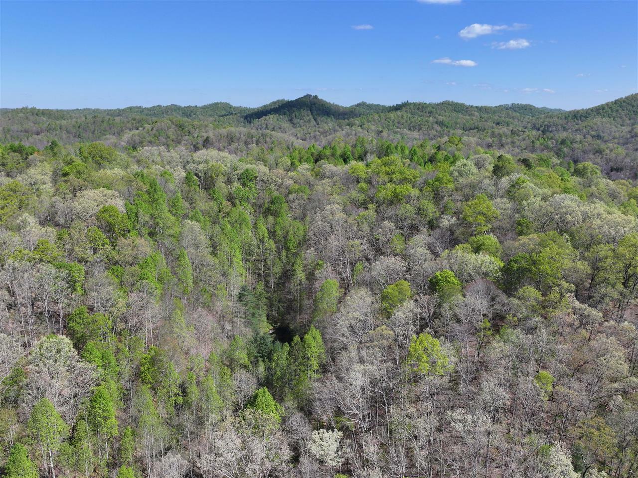 Property Photo:  0 Holly Fork Road  KY 40983 