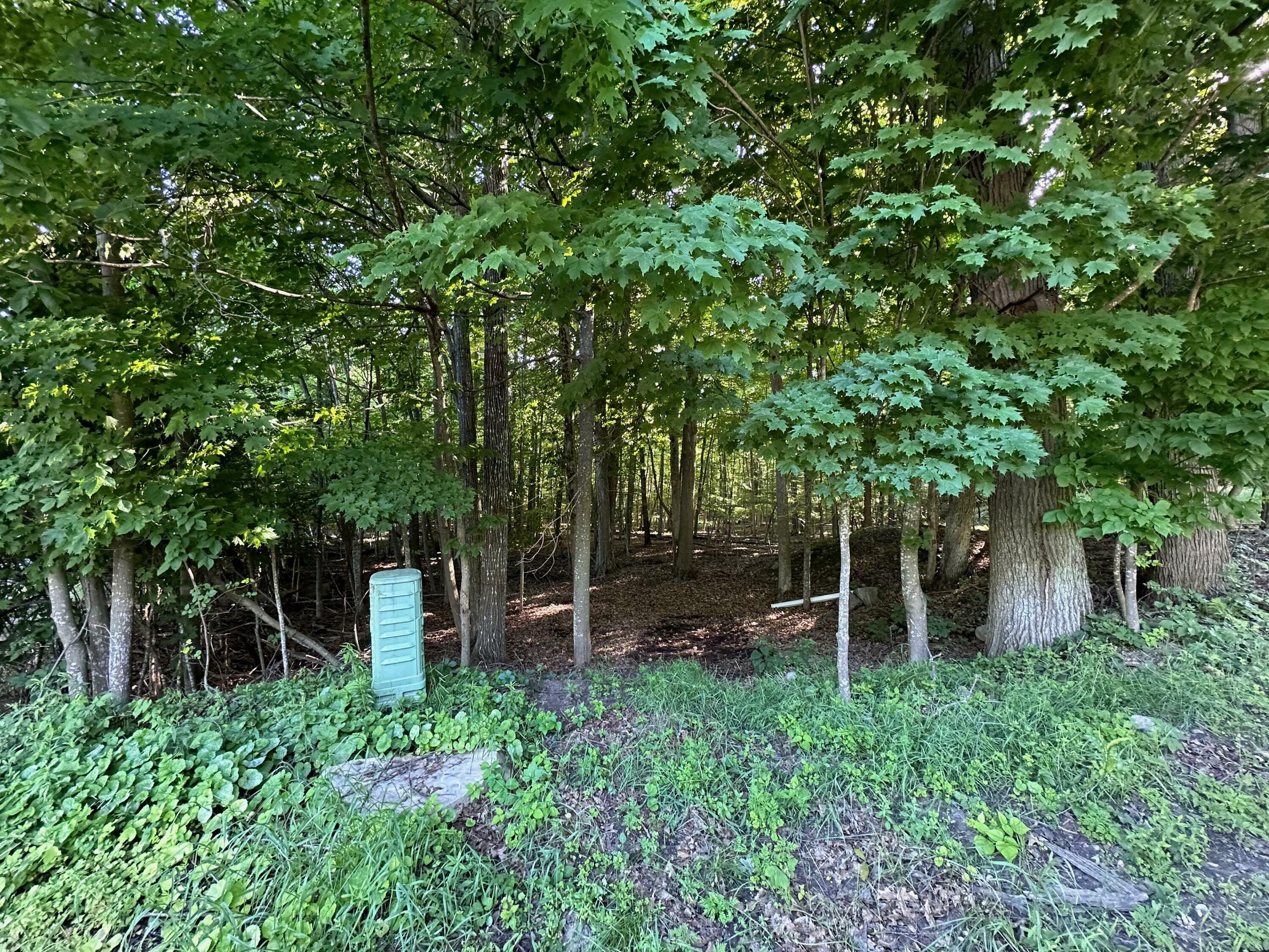 Property Photo: 0 Trembleau Road NY 12944