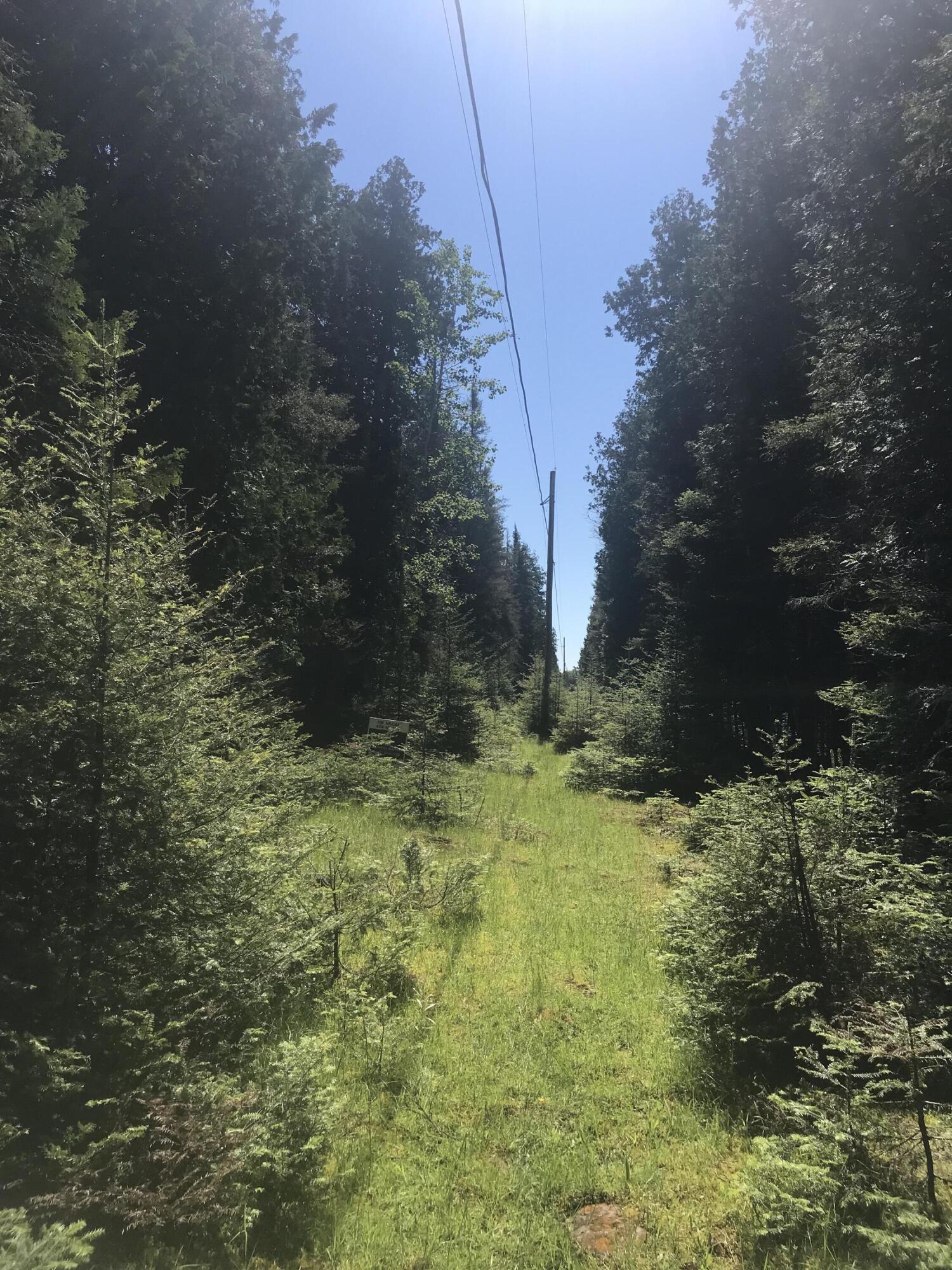 Property Photo: Tbd S Coryell Island MI 49719