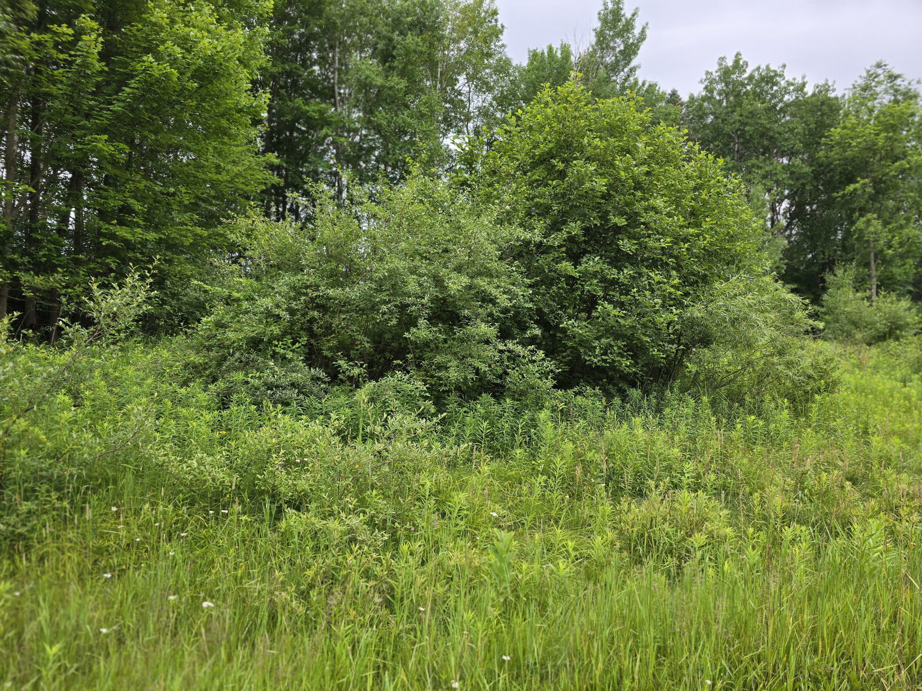 Property Photo:  0 Lake Road  MI 49305 