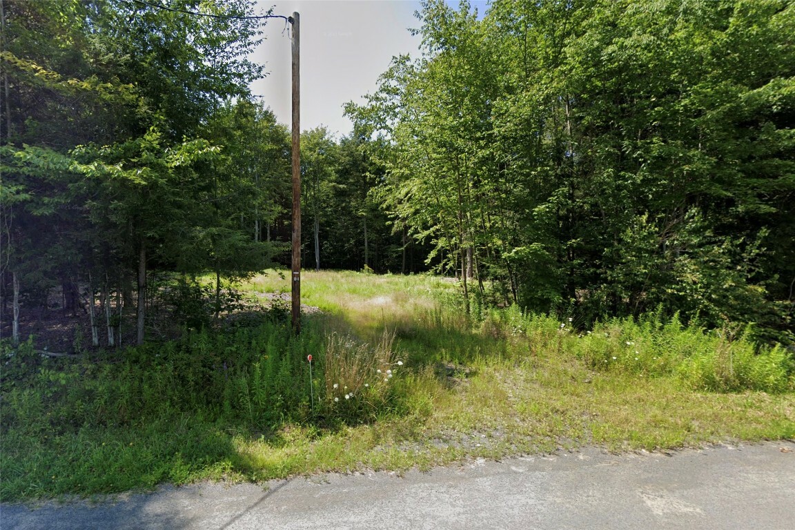 Property Photo:  39 Waverly Road  NY 13862 