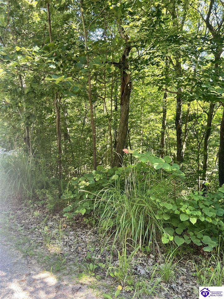 Property Photo:  Lot 758 Chestnut Drive Unit 7  KY 42259 