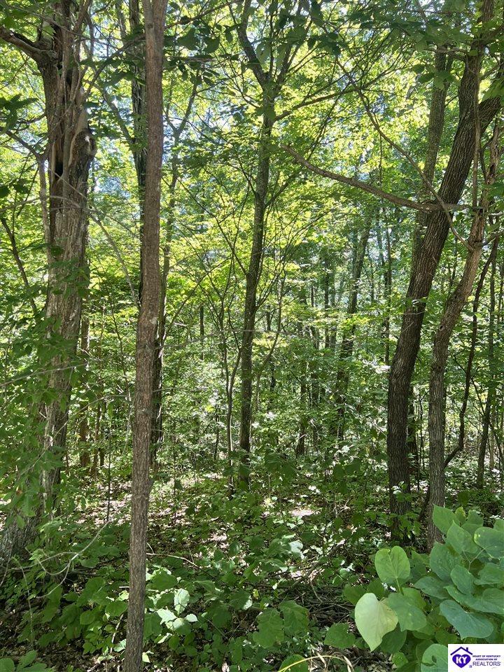 Property Photo:  Lot 674 Laurel Ridge Road Unit 7  KY 42259 