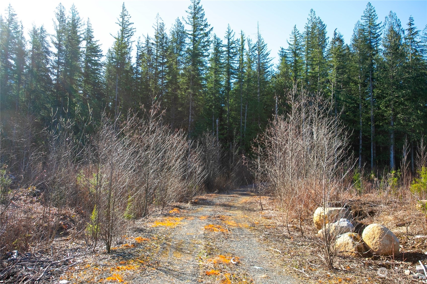 Property Photo: 0 Xxx South Pass Road WA 98266