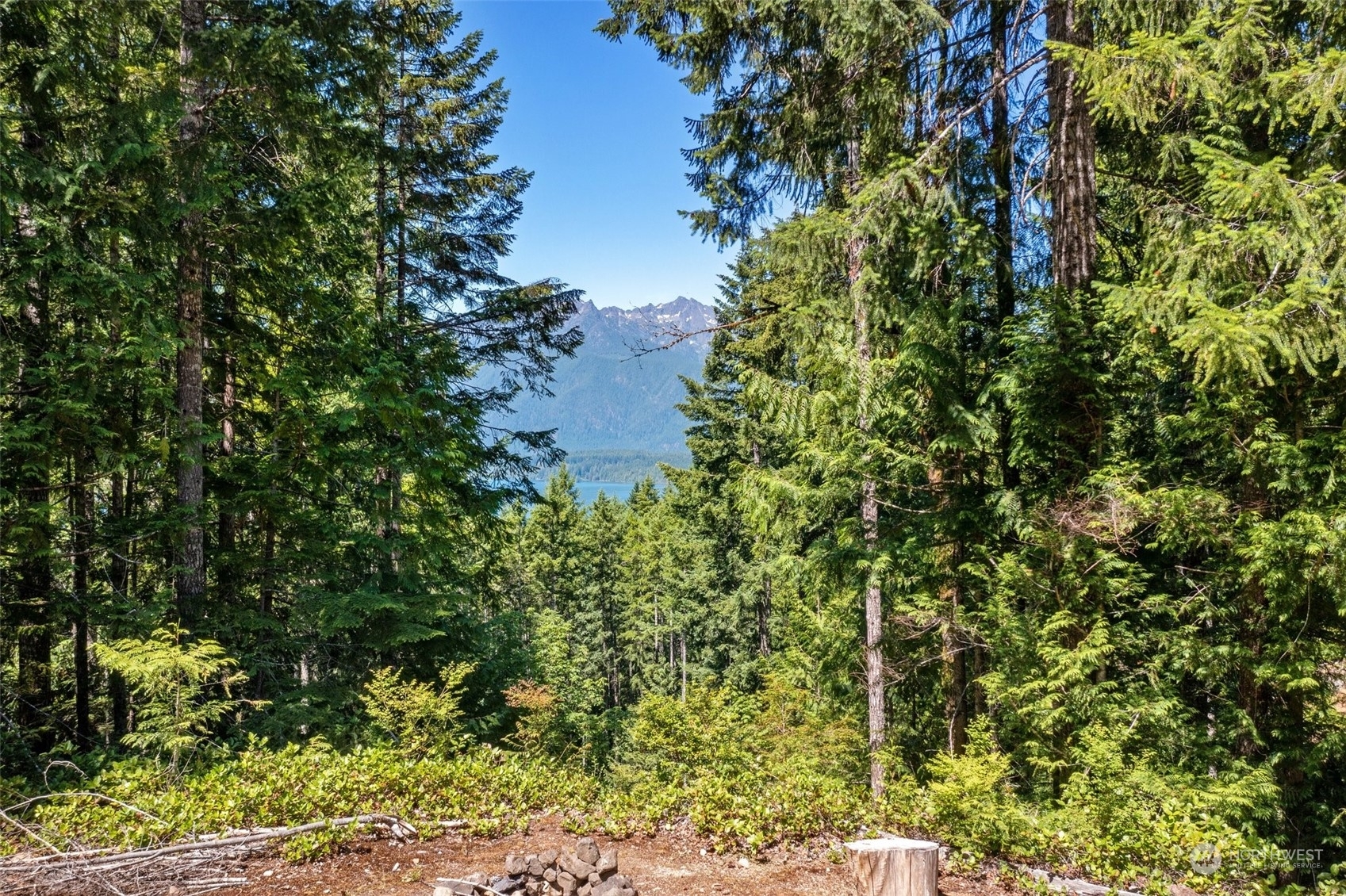 MLS#2259956: 5154 N Lake Cushman Road, Hoodsport, WA 98548