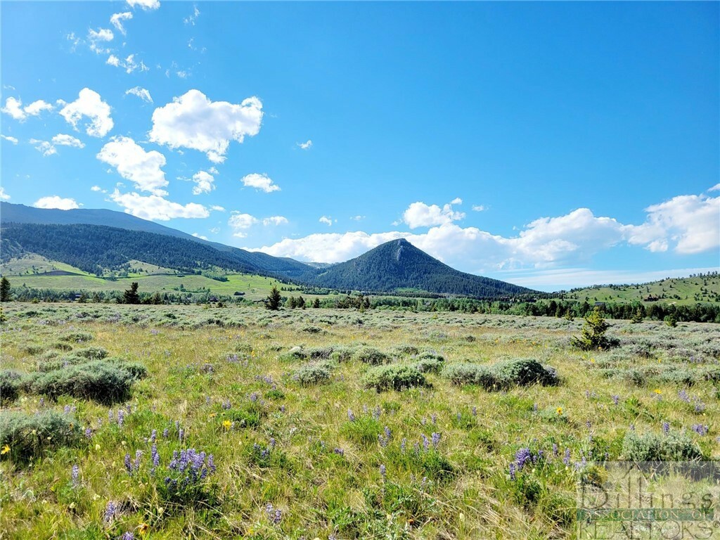 Property Photo:  Tract 1B Dillon Road  MT 59068 