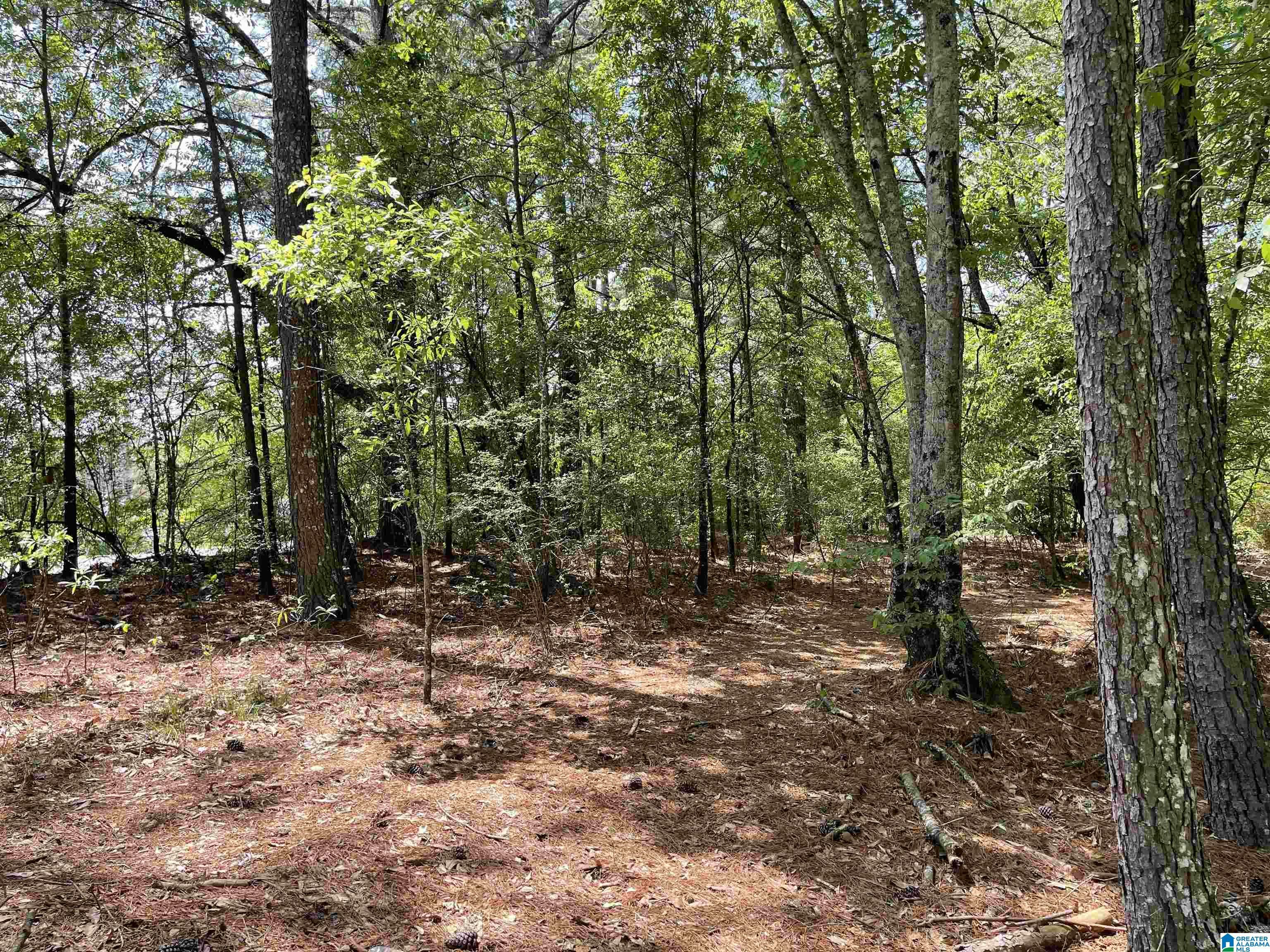 Property Photo:  Lot 1 Highway 231  AL 35054 