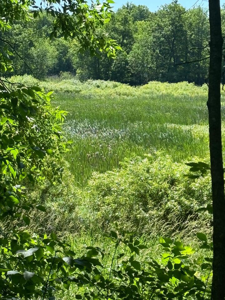 Property Photo:  Lot 7+8 Baffie Bend  MN 56450 