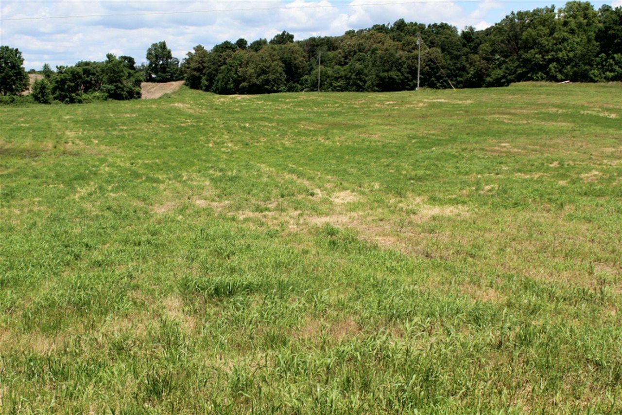 Property Photo:  10820 Hardyville Road  KY 42746 