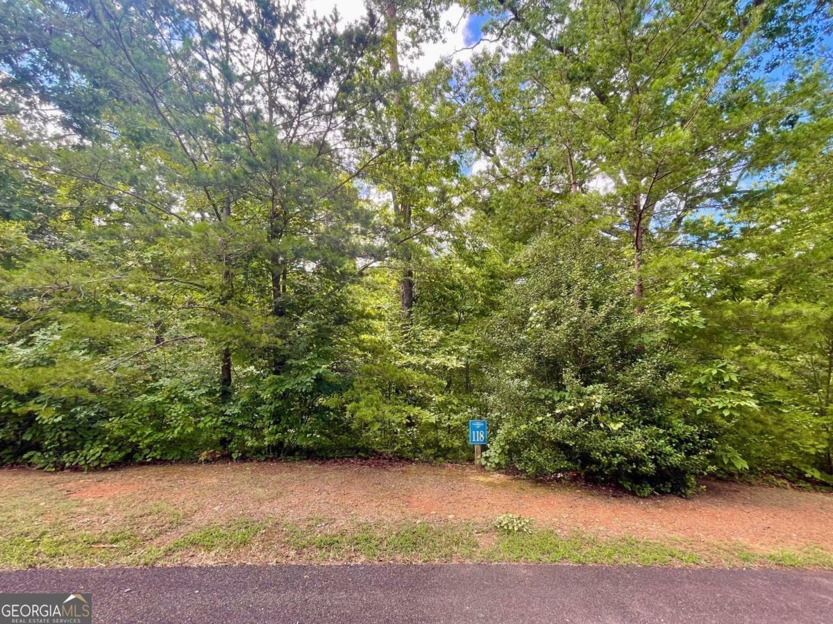 Property Photo:  Lot 118 Beech Tree Drive  GA 30540 