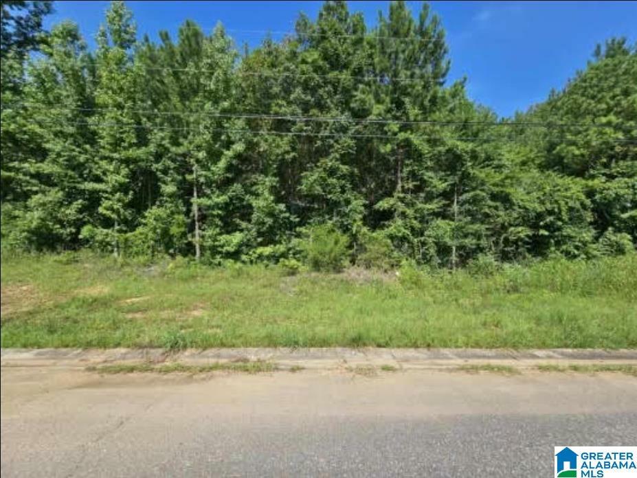 Property Photo:  Lot 5 Woodhaven Drive 5  AL 35128 