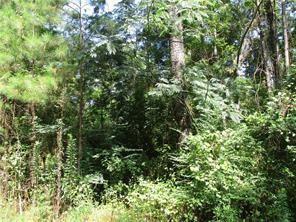 Property Photo:  Tbd Dido Loop  LA 70656 