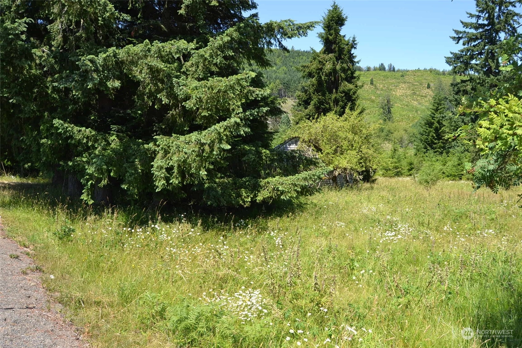 Property Photo:  186 Mineral Rd. N  WA 98355 