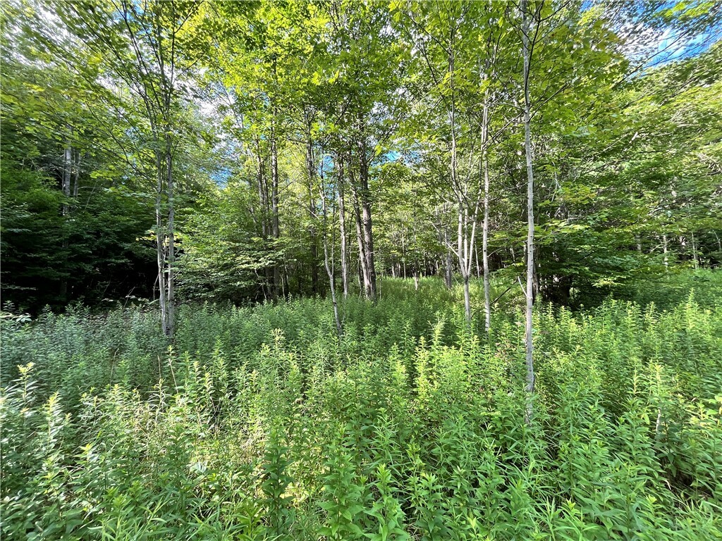 Property Photo:  Lot 3 Greenbush Road  NY 14838 