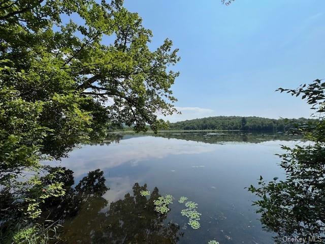 Property Photo:  Lot 68 Shore Road  NY 12783 