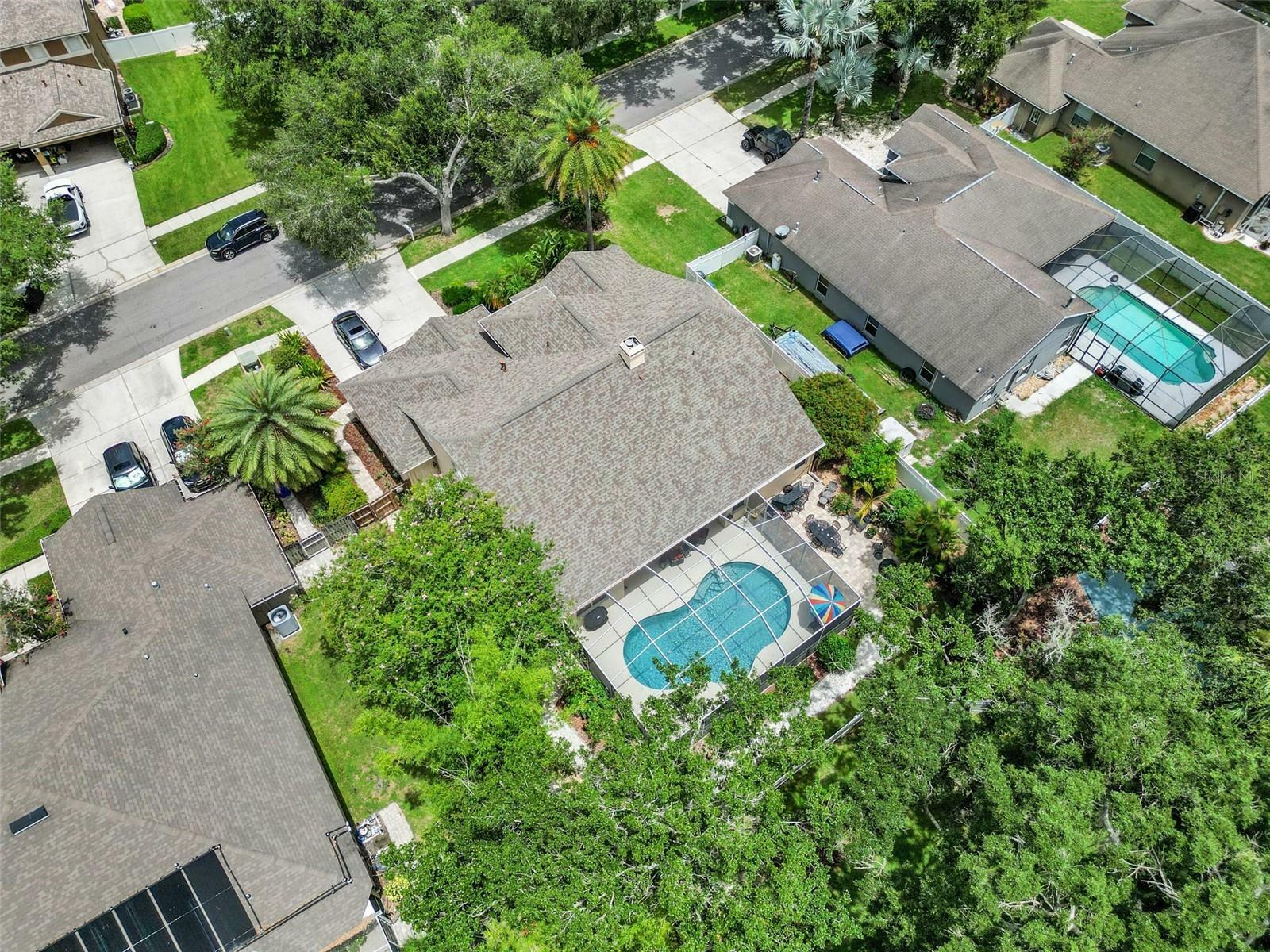 Property Photo:  12521 River Birch Drive  FL 33569 