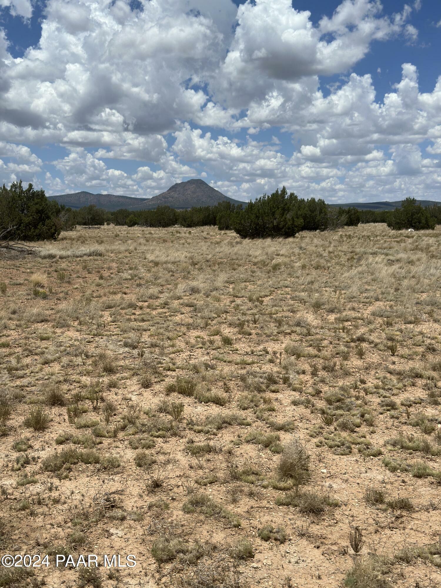 Property Photo:  Lot 118D Prairie Dog Rd  AZ 86320 