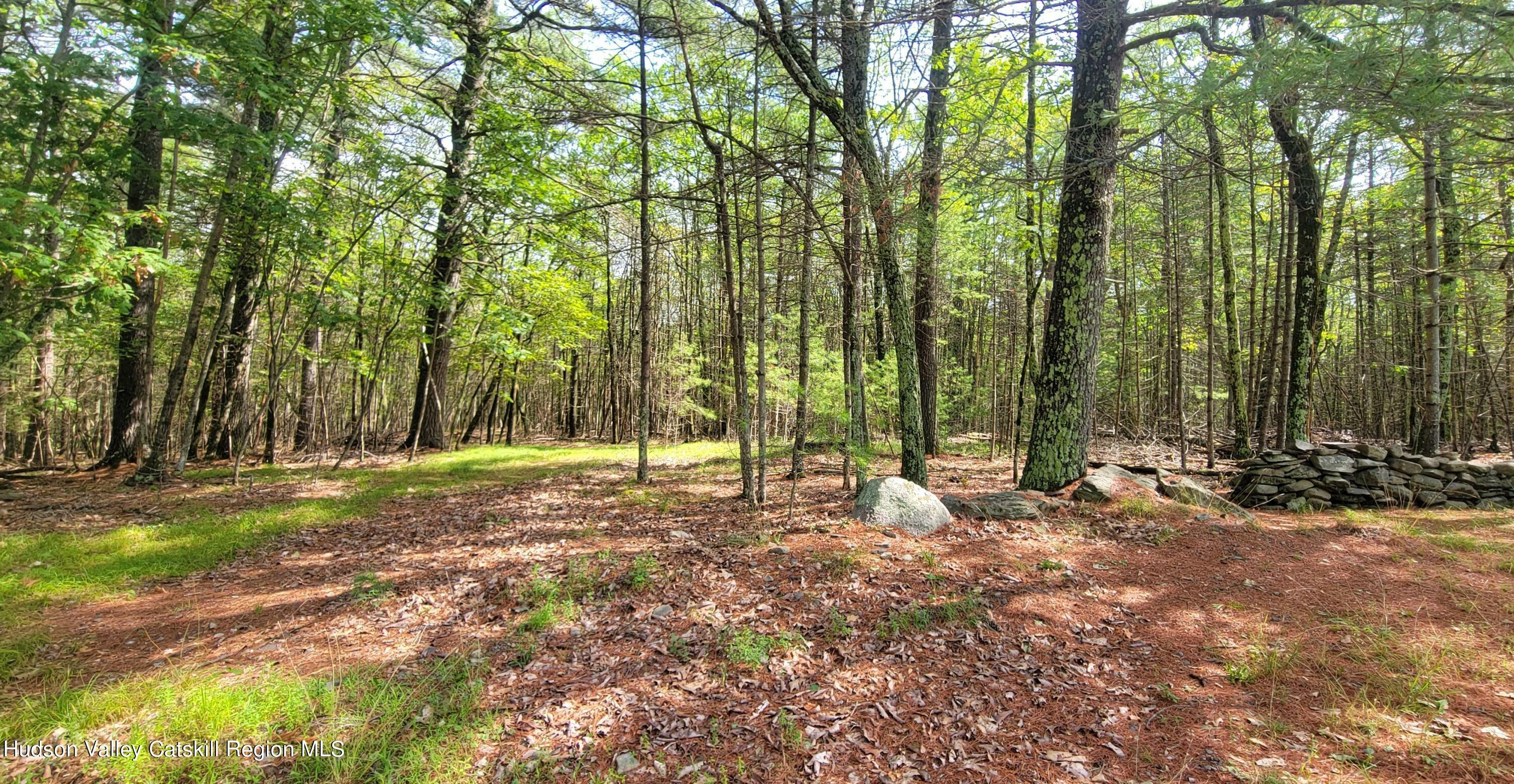 Property Photo:  90 Route 66 East  NY 12446 