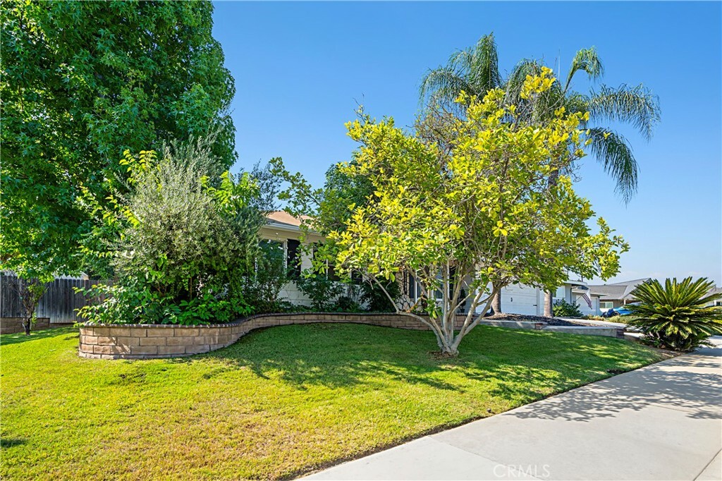 Property Photo:  838 Banyan Drive  CA 92373 