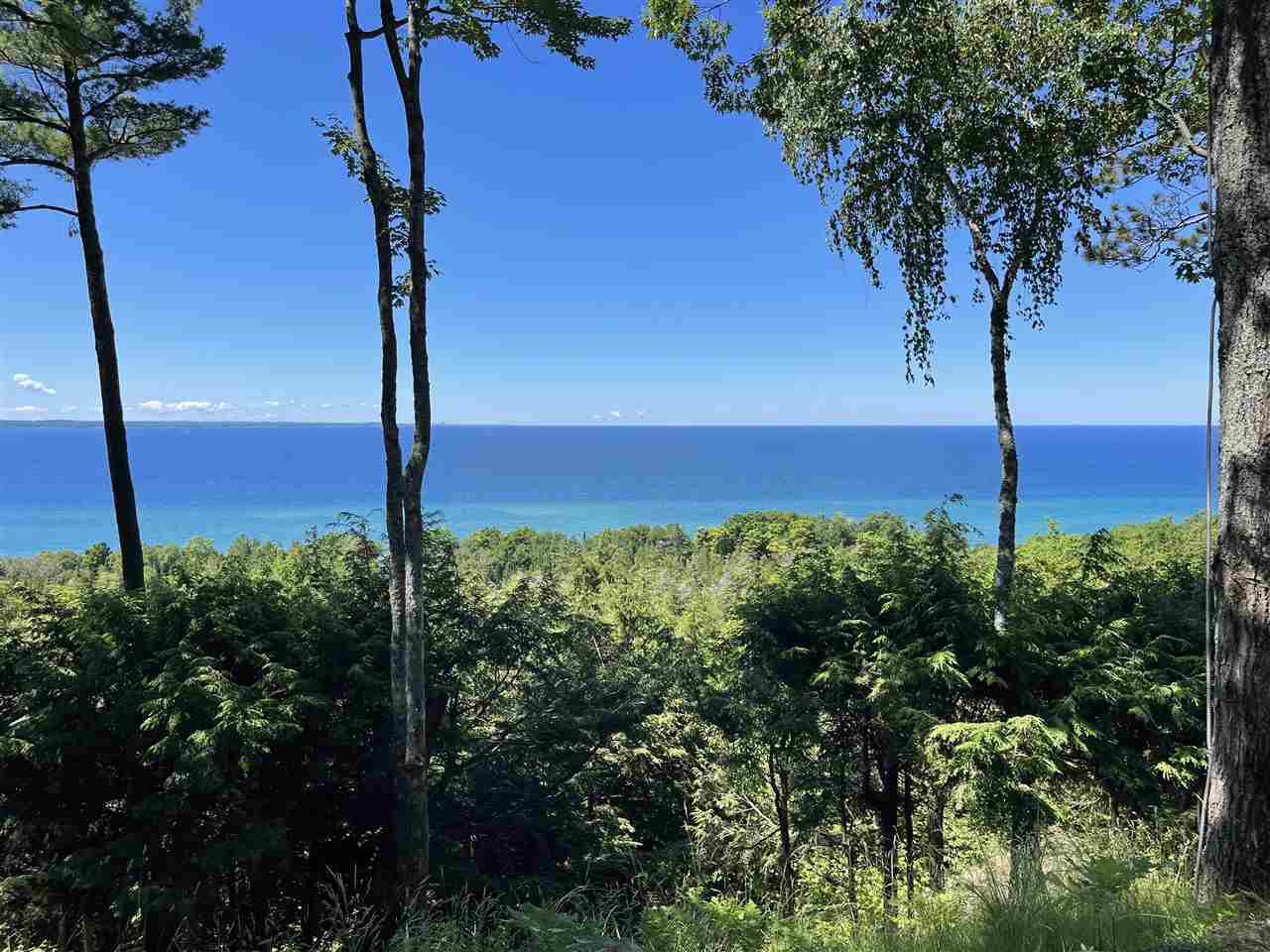 Property Photo: 6360 Trillium Trail MI 49740