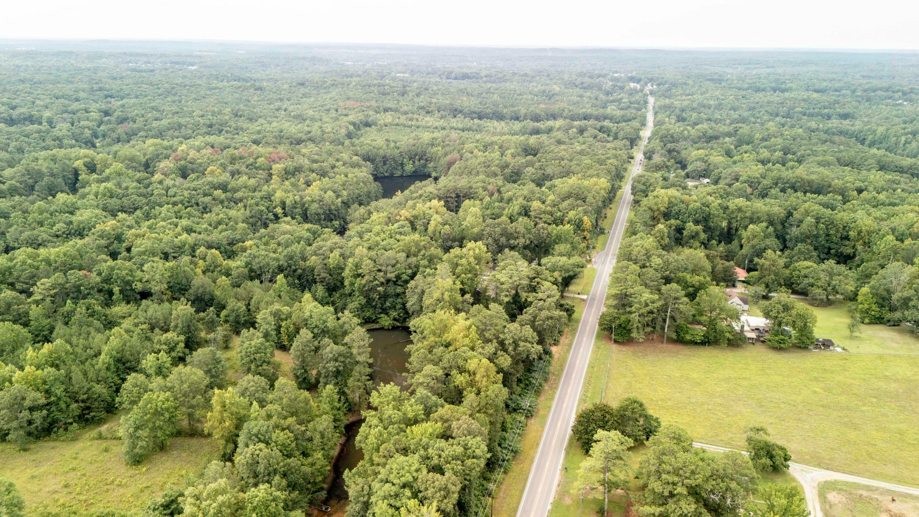 Property Photo:  Hwy 195N  AL 35503 