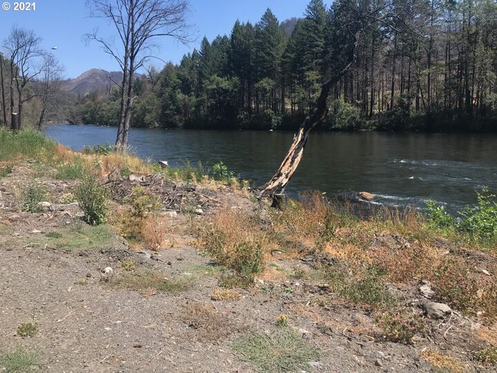 Property Photo: 49752 McKenzie Hwy OR 97488