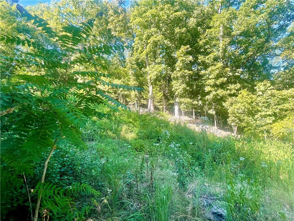 Property Photo: 15909 Kedzie Circle AR 72758