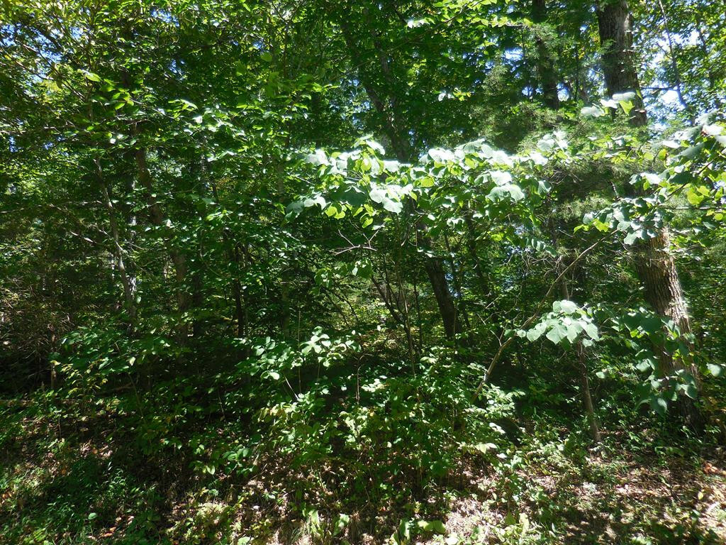 Property Photo:  Lot 68 Sandy Point Lane  TN 37876 