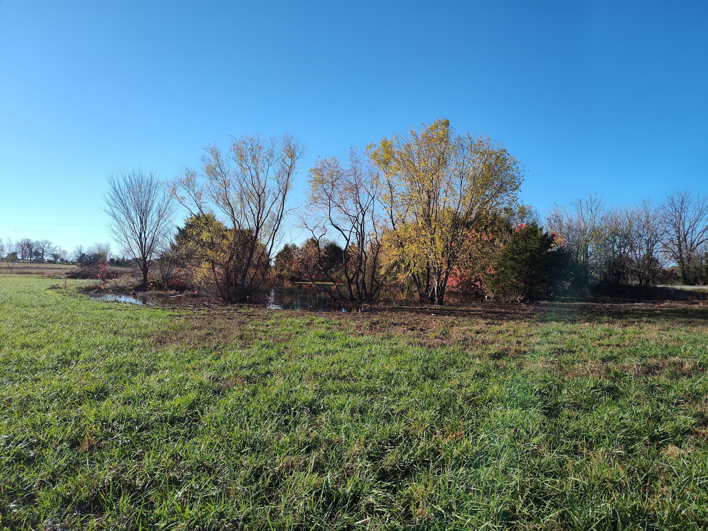 Property Photo:  154 Maria Road  MO 65631 