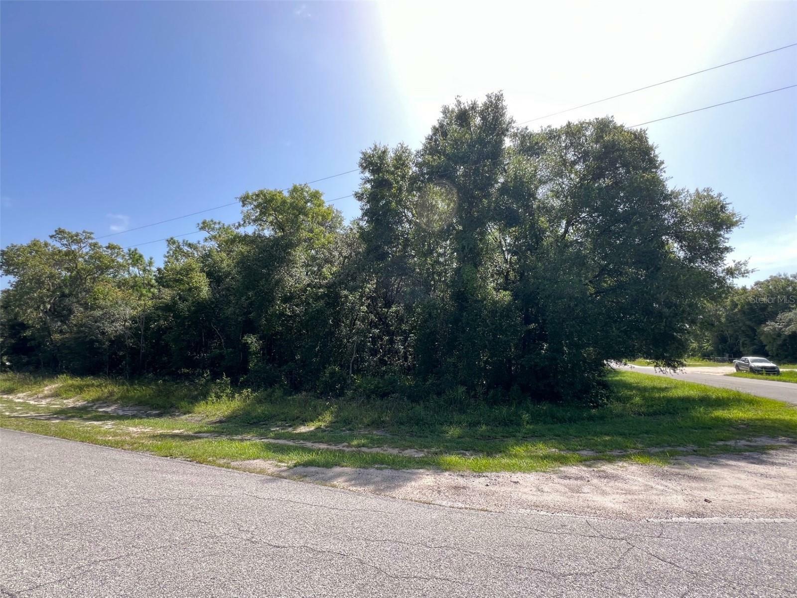 Property Photo: Cr 656 H FL 33597