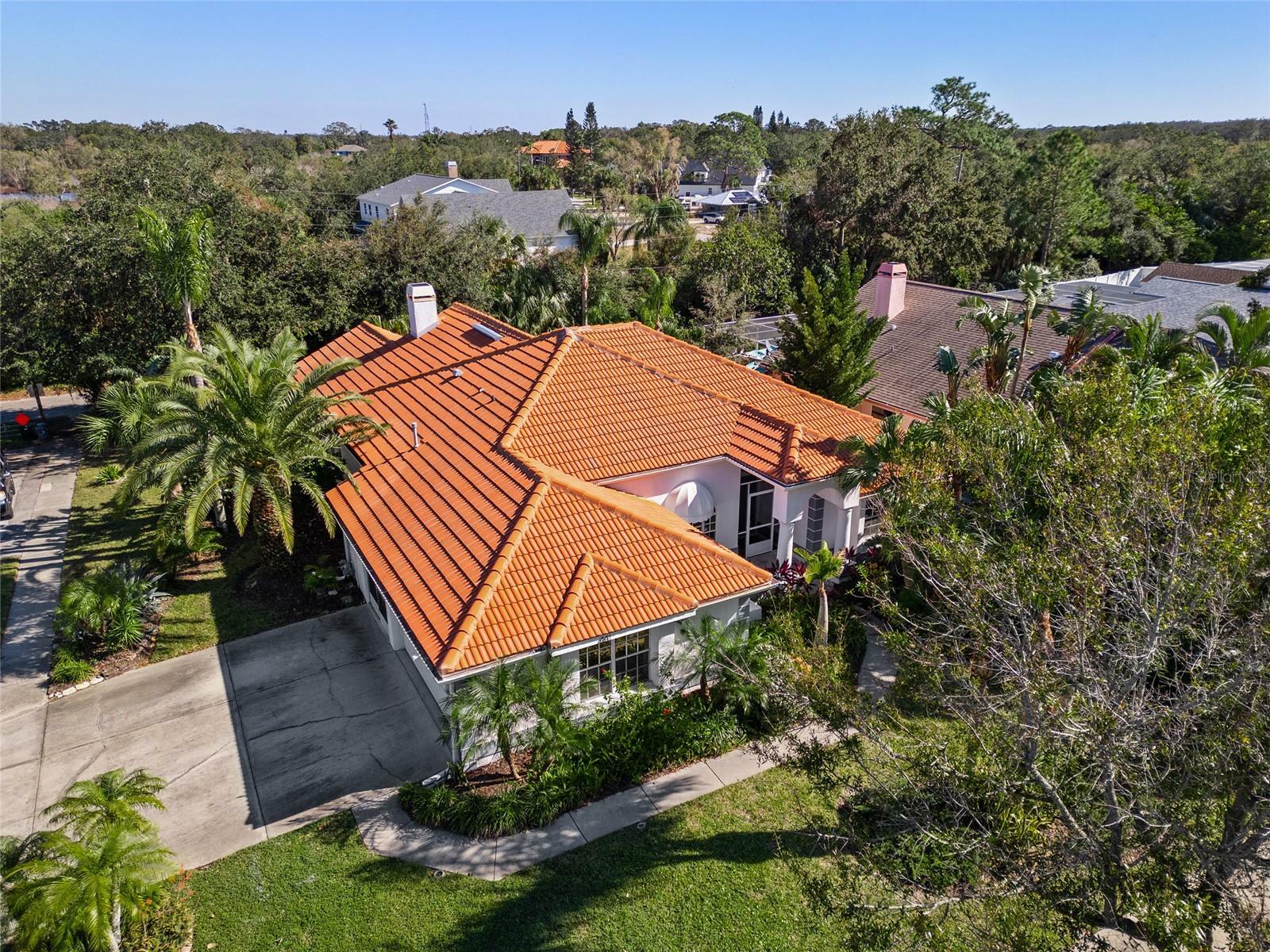 Property Photo:  441 Village Drive  FL 34689 