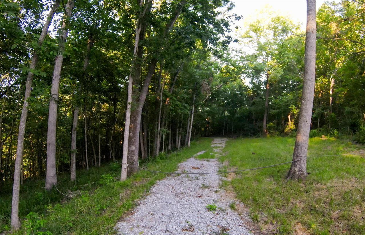 Property Photo:  7970 Brandenburg Road  KY 42757 