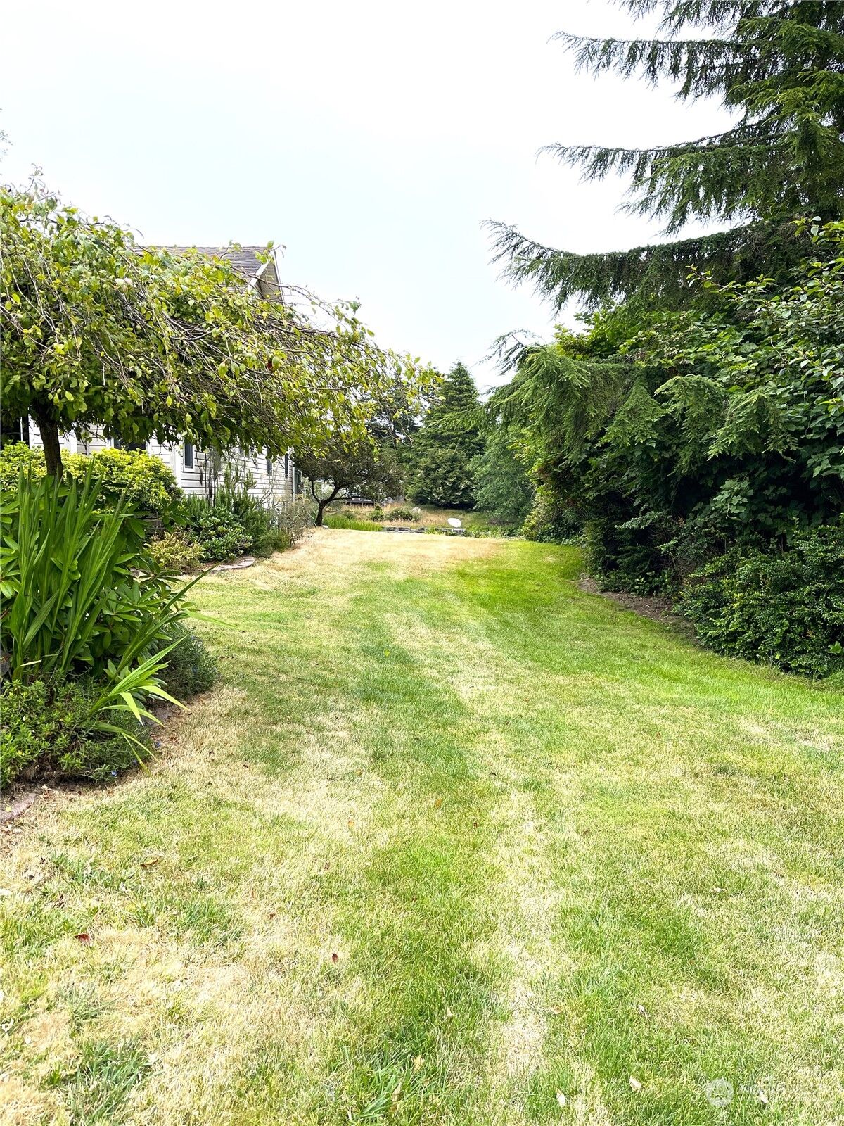Property Photo:  430  Dolphin Avenue NE  WA 98569 