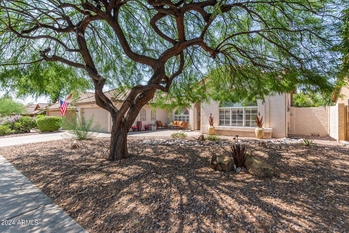Property Photo:  4536 E Via Dona Road  AZ 85331 