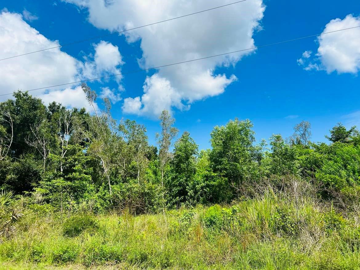 Property Photo:  7440 Max Drive  FL 33922 