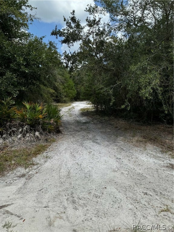 Property Photo:  12037 W Flaxen Drive  FL 34428 