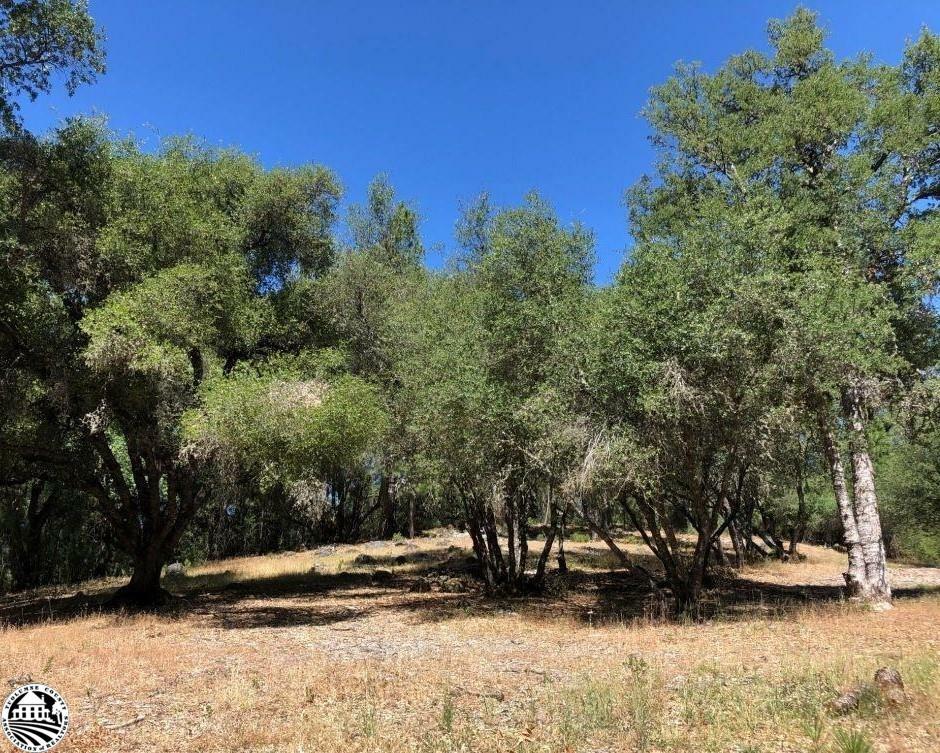 Property Photo:  21930 Lyons Bald Mountain Road  CA 95370 