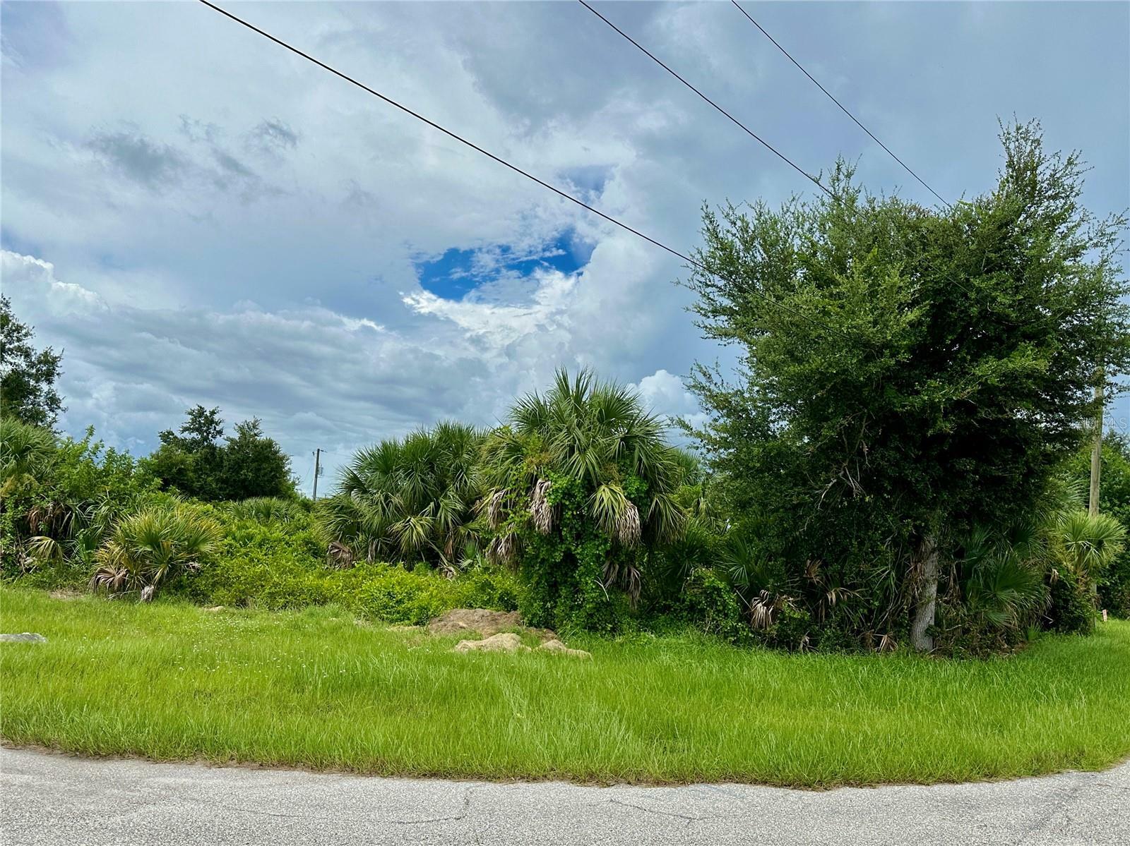 Property Photo:  10146 Rydell Street  FL 33981 