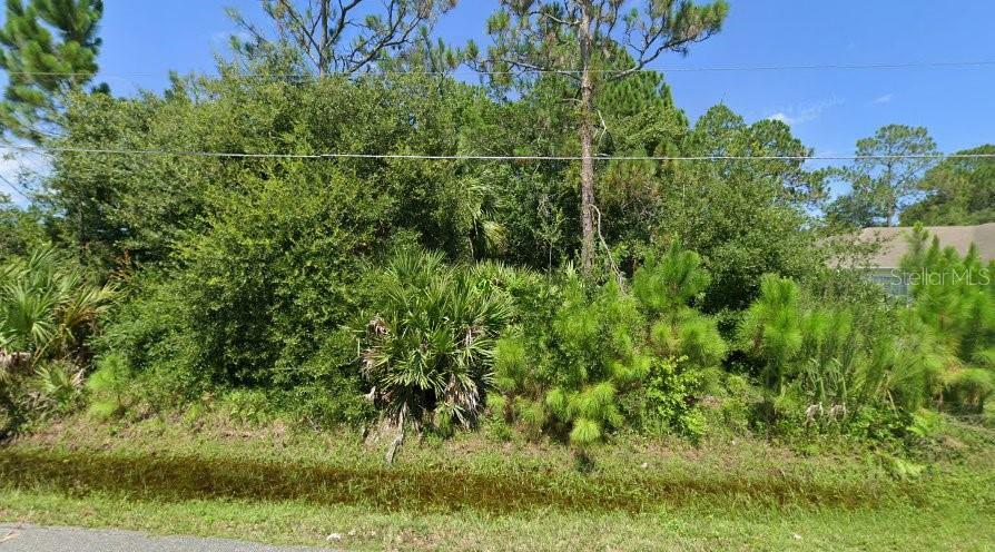 Property Photo:  59 Pine Crest Lane  FL 32164 