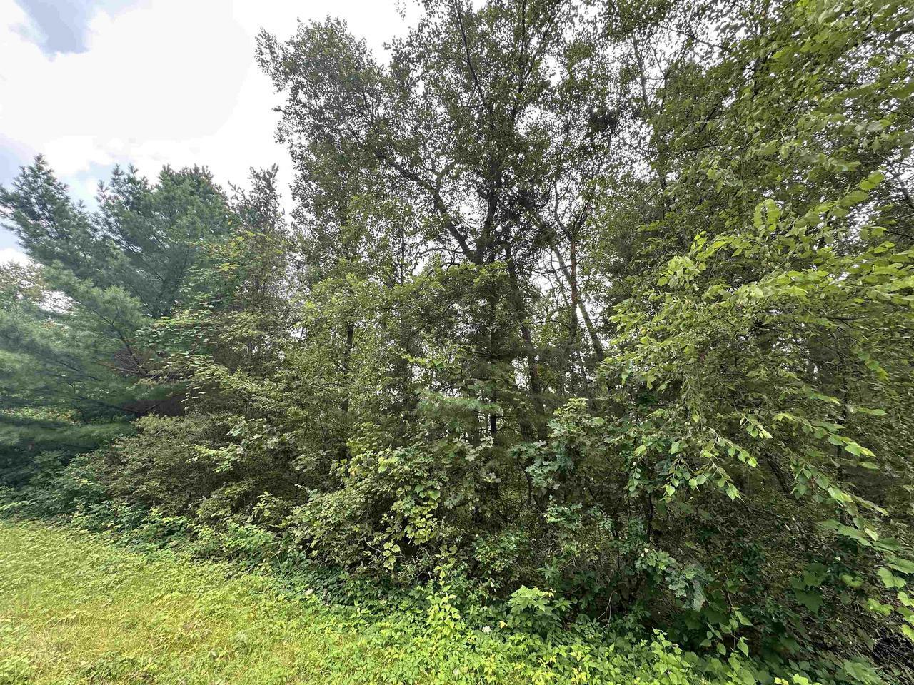 Property Photo:  Lot 41 Carlos  WI 53588 