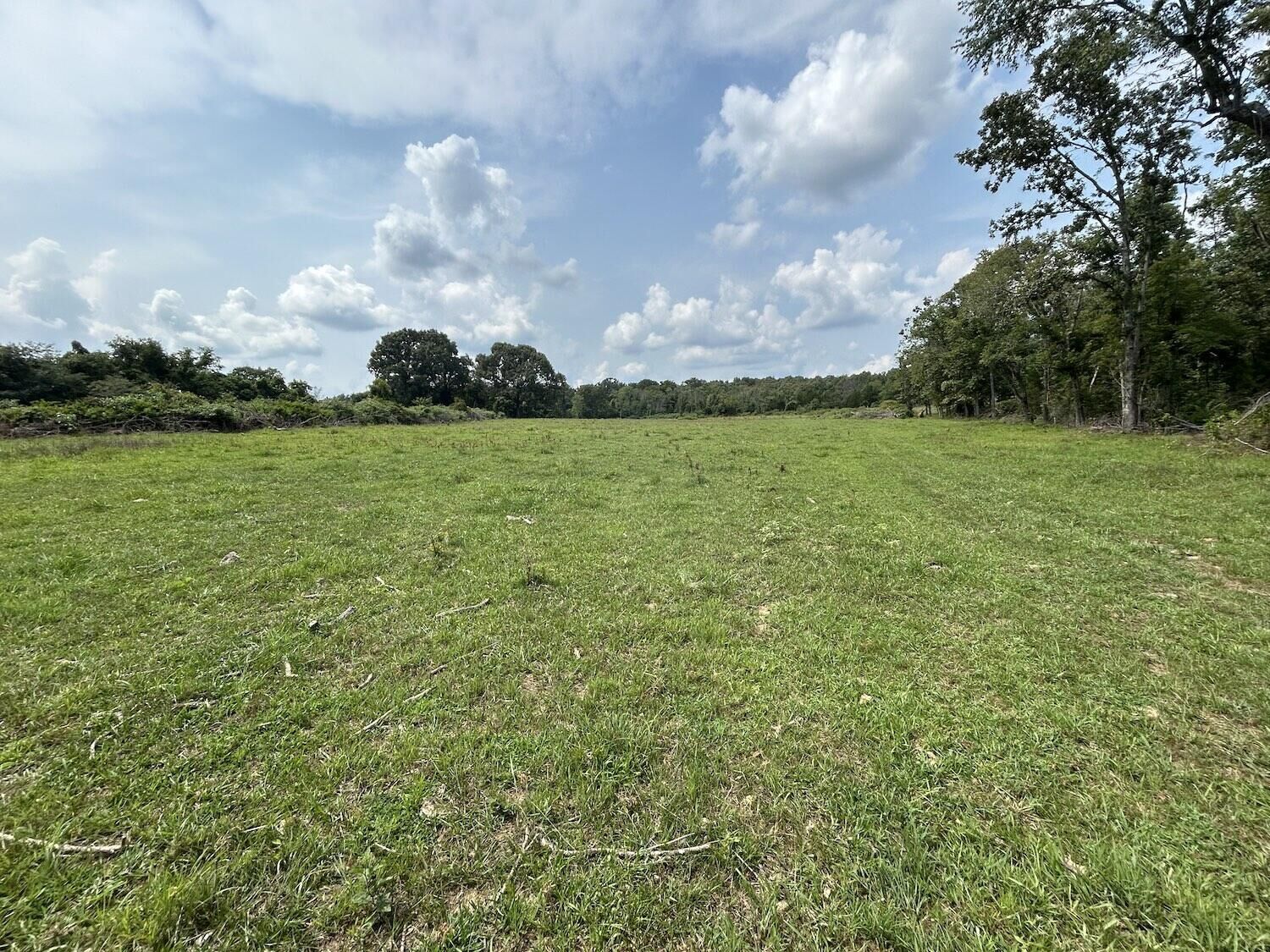 Property Photo: 000 Private Road 63-91 MO 65791