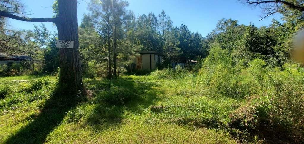 Property Photo:  1150 S Timberlane Street  TX 77662 