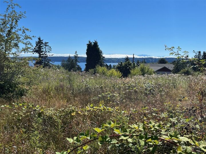 0  SW Camano Drive  Camano Island WA 98282 photo