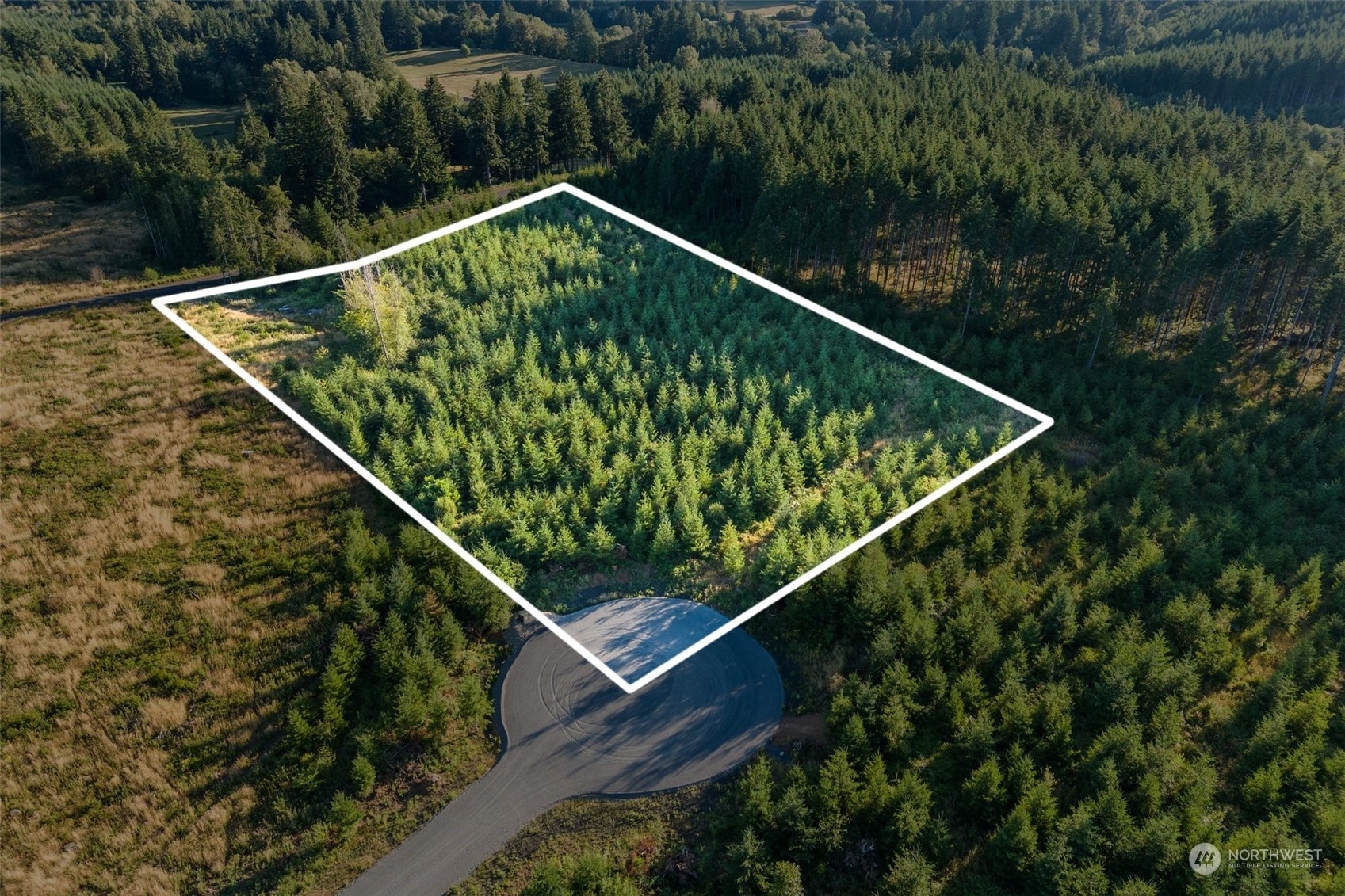 Property Photo:  129  Brim Ridge Lane  WA 98596 