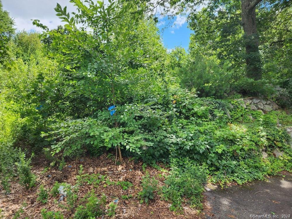 Property Photo:  104 Wadsworth Street  CT 06701 