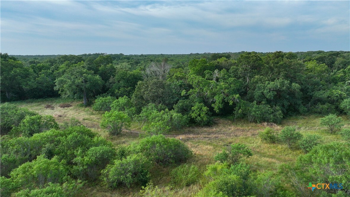 Property Photo: 303 Munk Rd TX 78638