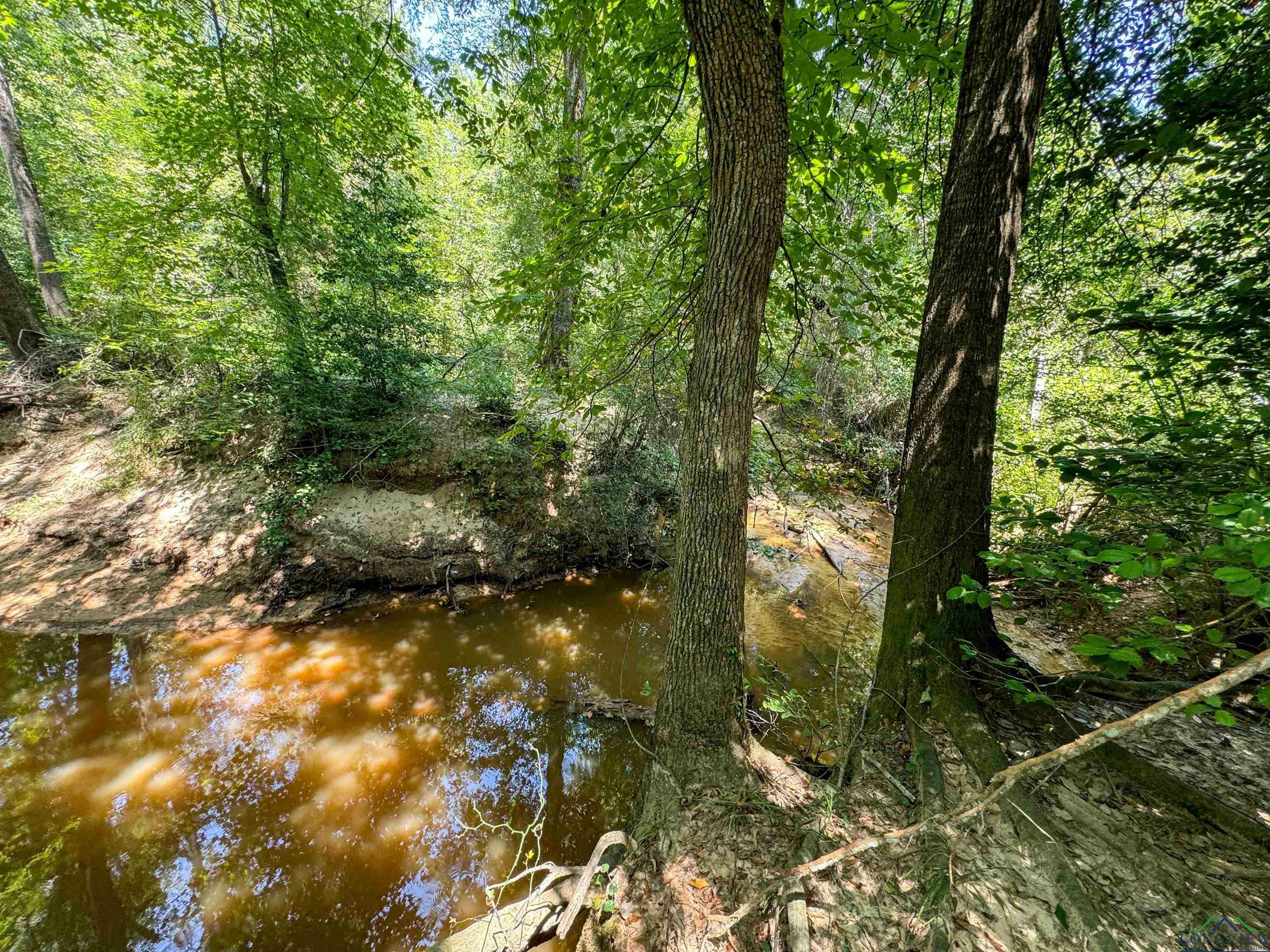 Property Photo: Tbd Cr 1619 TX 75563